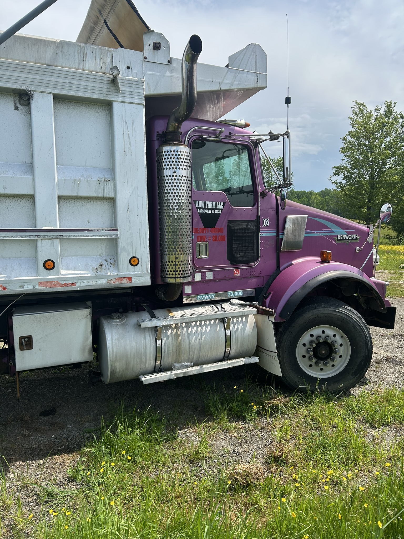 1999 Kenworth T800 Dump Truck view 9